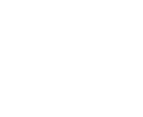 Smt Smart Network